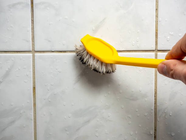 Best Attic Mold Removal  in Gooding, ID