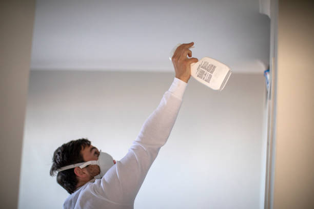 Best Black Mold Removal  in Gooding, ID