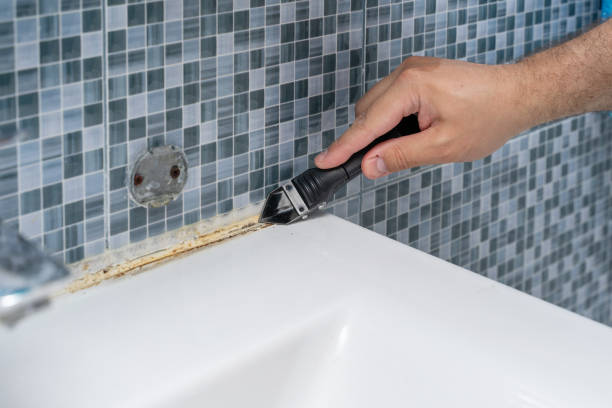Best Mold Cleaning Services  in Gooding, ID