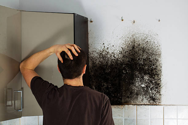 Best Crawl Space Mold Removal  in Gooding, ID